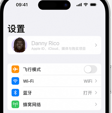 桑日appleID维修服务iPhone设置中Apple ID显示为灰色无法使用 