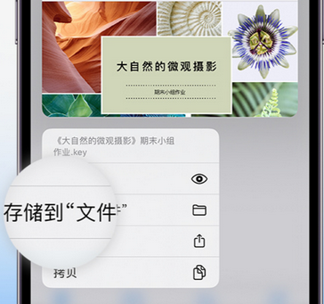 桑日apple维修中心分享iPhone文件应用中存储和找到下载文件