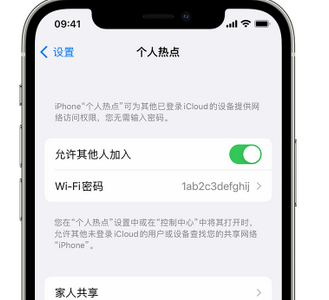 桑日apple服务站点分享iPhone上个人热点丢失了怎么办