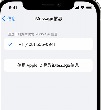 桑日apple维修iPhone上无法正常发送iMessage信息 