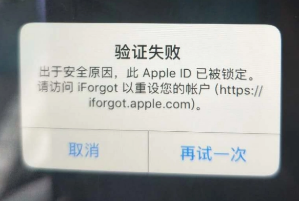 桑日iPhone维修分享iPhone上正常登录或使用AppleID怎么办 