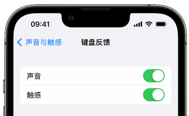 桑日苹果手机维修分享iPhone 14触感键盘使用方法 