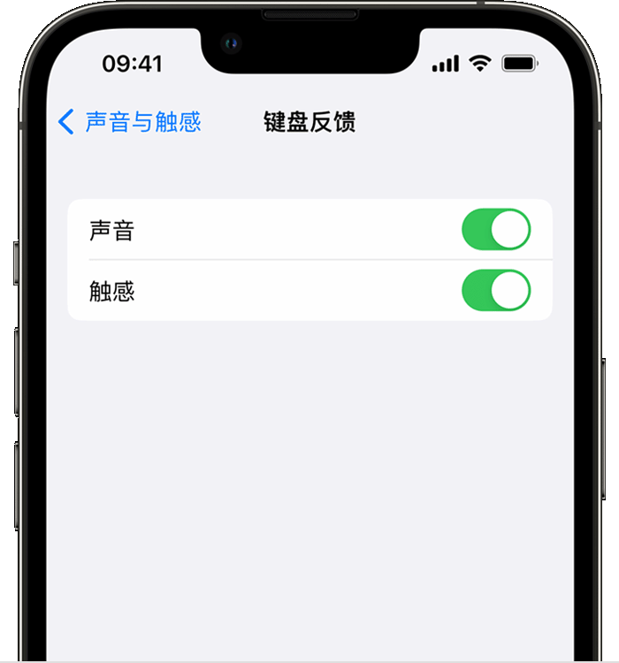 桑日苹果14维修店分享如何在 iPhone 14 机型中使用触感键盘 