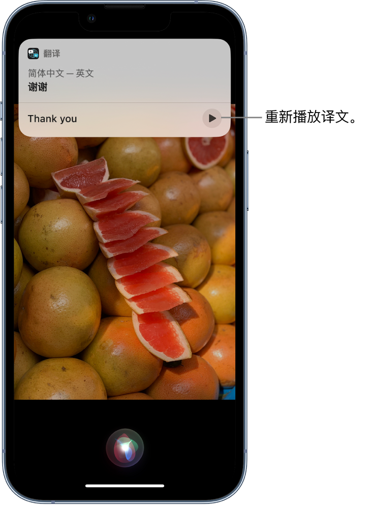 桑日苹果14维修分享 iPhone 14 机型中使用 Siri：了解 Siri 能帮你做什么 