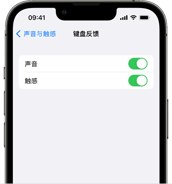 桑日苹果14维修分享iPhone 14 系列机型如何开启键盘声音或触感反馈 