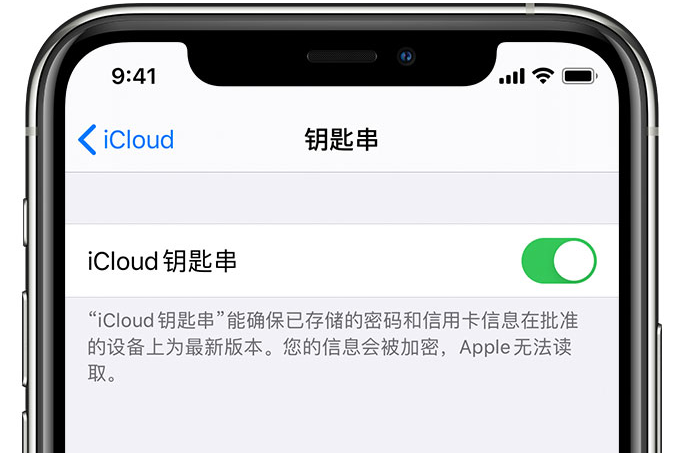 桑日苹果手机维修分享在 iPhone 上开启 iCloud 钥匙串之后会储存哪些信息 