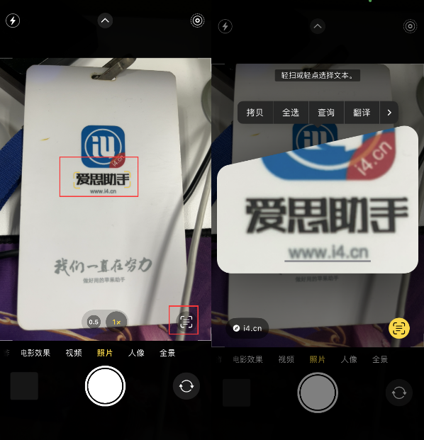 桑日苹果手机维修分享升级iOS 16后如何通过相机翻译文本 