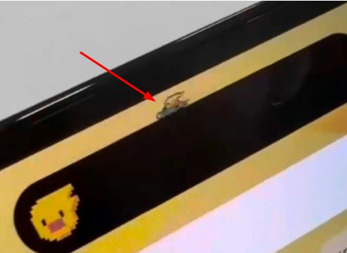 桑日苹果14维修分享iPhone 14 Pro Max灵动岛怎么养宠物 