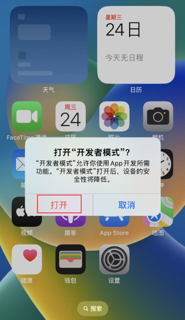 桑日苹果手机维修分享如何打开开发者模式 