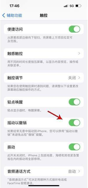 桑日苹果手机维修分享iPhone手机如何设置摇一摇删除文字 