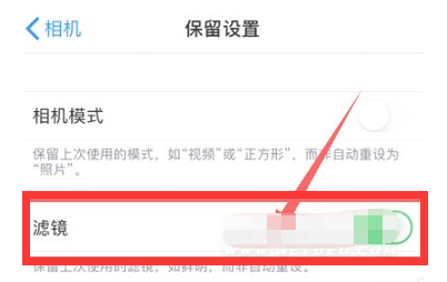 桑日苹果13维修分享iPhone13拍照有绿点是怎么回事 