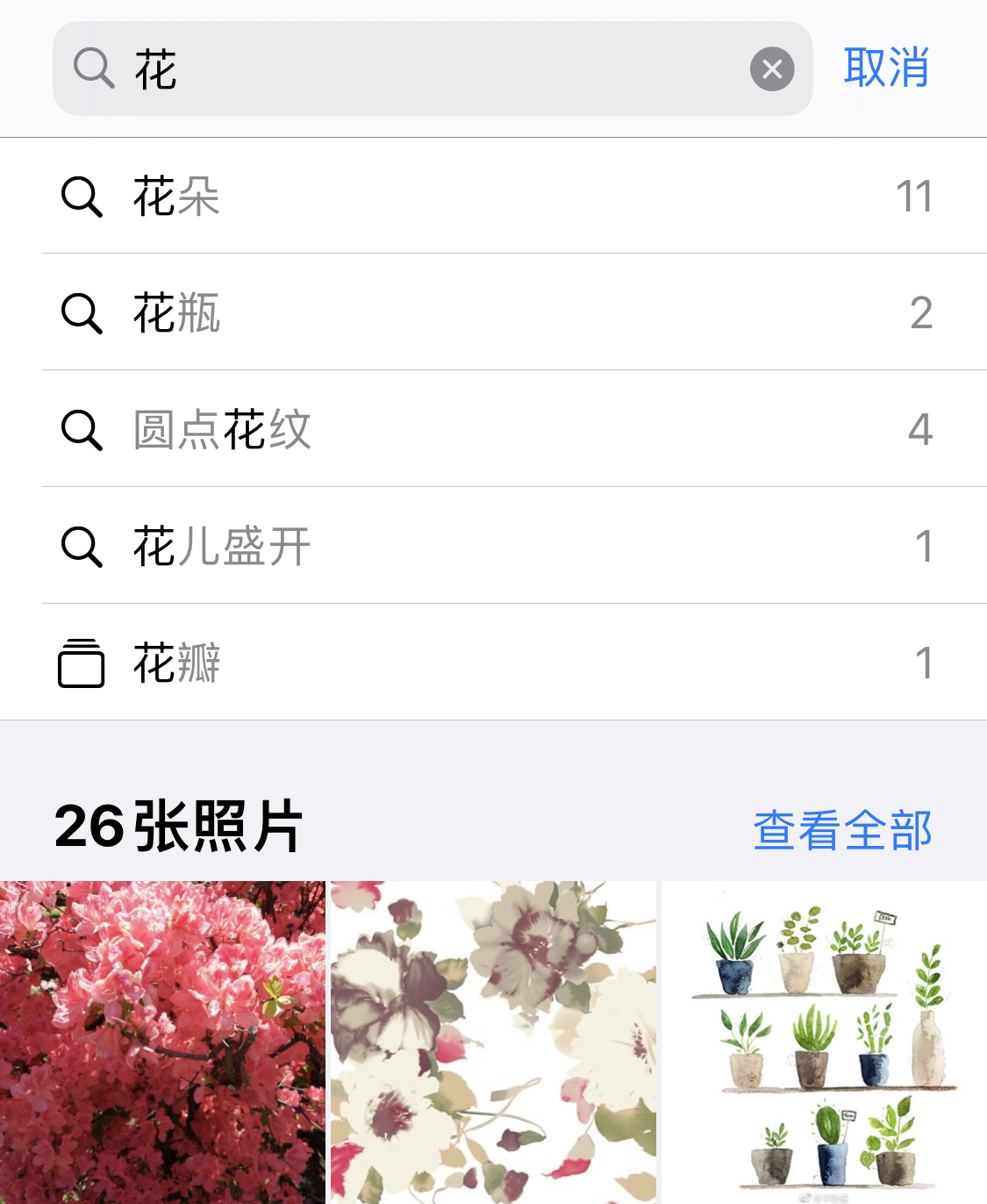 桑日苹果手机维修分享iPhone 小技巧 