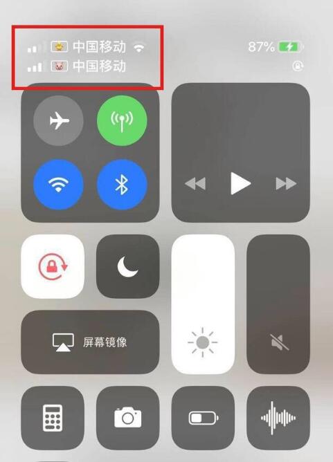 桑日苹果手机维修分享为 iPhone 12 双卡设置标签 