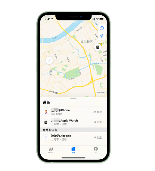 桑日苹果手机维修分享iPhone “家人共享”功能 