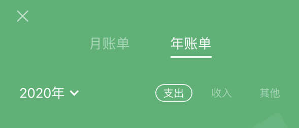 桑日苹果手机维修分享如何在 iPhone 上查看支付宝和微信年支出账单 